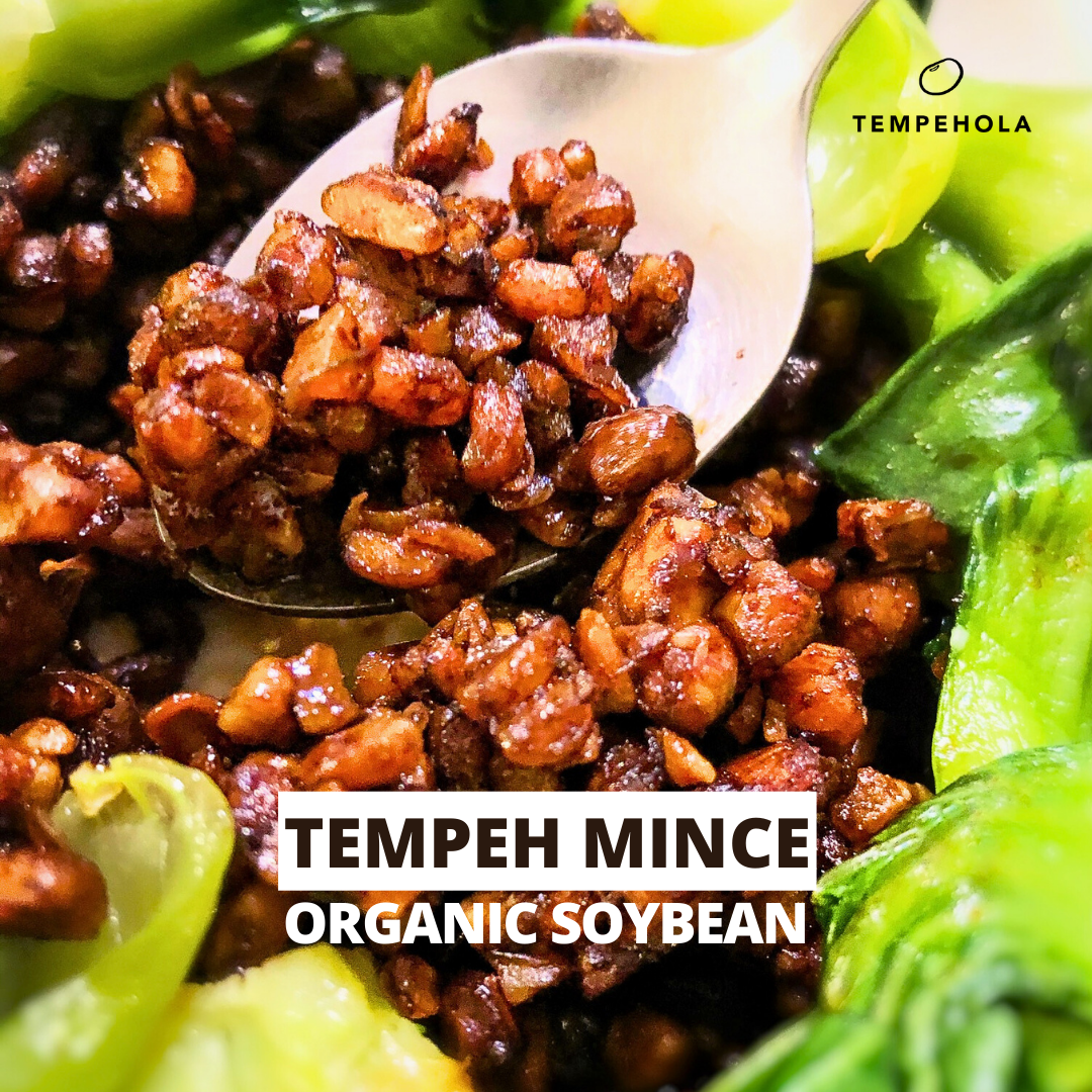 Tempeh Soy Mince